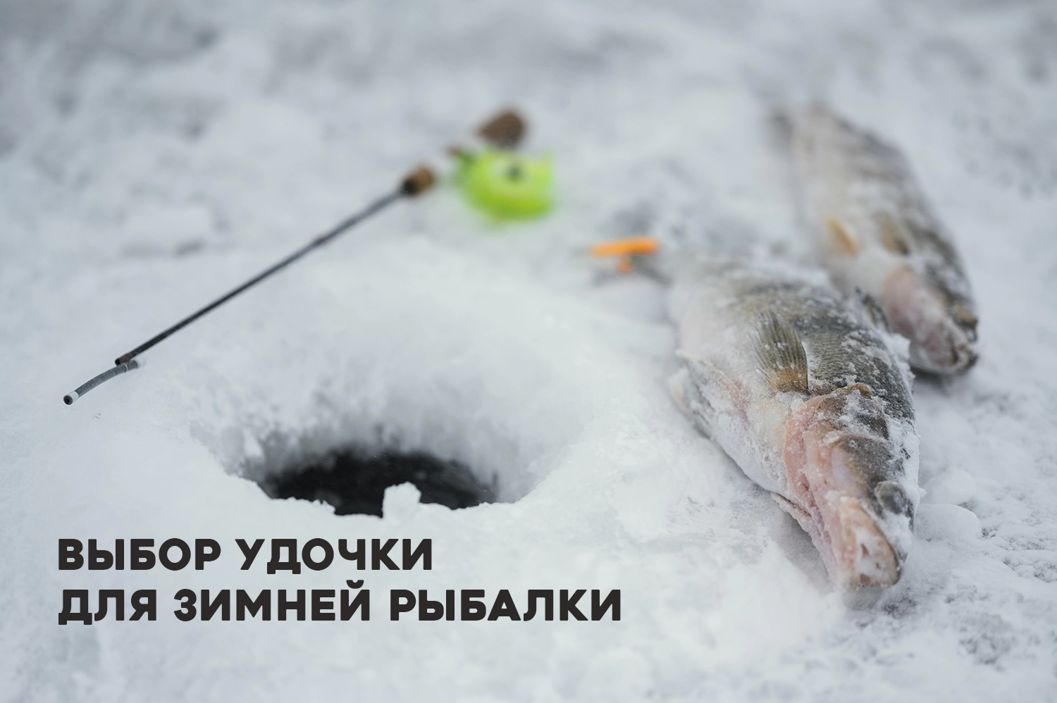Какую зимнюю удочку выбрать: советы начинающим рыбакам Какую зимнюю удочку выбрать: советы начинающим рыбакам
