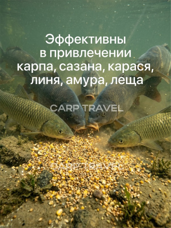 Зерновая смесь Carptravel  вакуум 3 кг (Спод Микс) 6