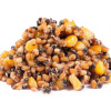 1904_4