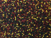 DSC06126 — копия (4)