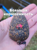 Флэт кормушка Tackle Fish Wide XL Flat Method  60г