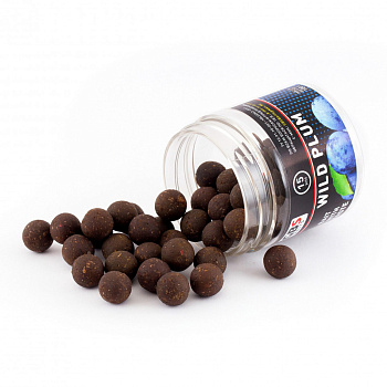 Бойлы тонущие GBS Baits Насадочные Wild Plum 15мм 132 г (Дикая Слива) 