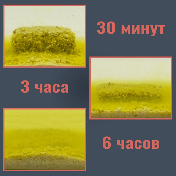 Прикормка Carpomaniya пресованная 10 куб. Premium 450 г (Клубника) 5