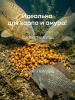 Зерновая смесь Carptravel  вакуум 1 кг (Тигровый Орех) 6