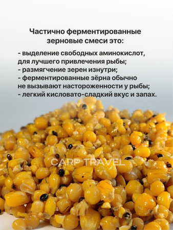 Зерновые горох кука 6