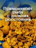 Бойлы тонущие GBS Baits Прикормочные Pineapple 20мм 3 кг (Ананас) 2