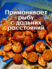 Бойлы тонущие GBS Baits Прикормочные Charming Plum  20мм 3 кг (Чарующая слива) 1