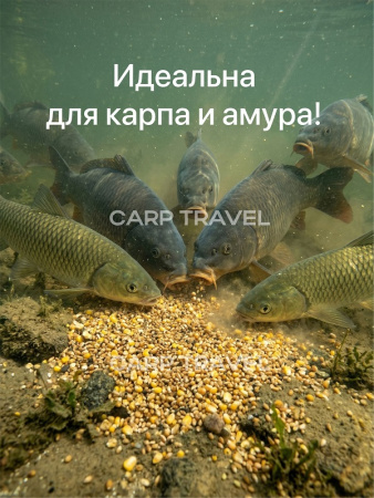 Зерновая смесь Carptravel  вакуум 3 кг (Карп) 6