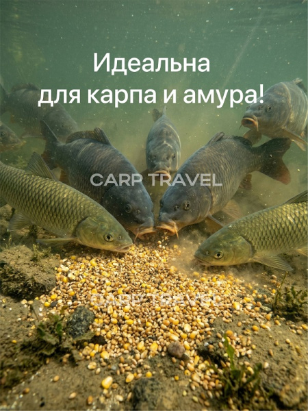Зерновая смесь Carptravel  вакуум 3 кг (Карп) 6