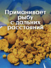 Бойлы тонущие GBS Baits Прикормочные Peas 20мм 3 кг (Горох) 2