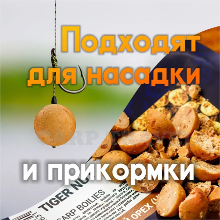 Бойлы тонущие GBS Baits Прикормочные Tiger Nut  20мм 1 кг (Тигровый Орех) 3